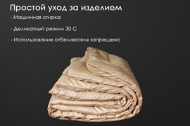 Одеяло верблюжья шерсть тик п/э Реноме